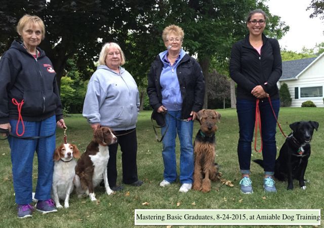 Gallery - Amy Ammen - Amiable Dog Training - Milwaukee & Honolulu