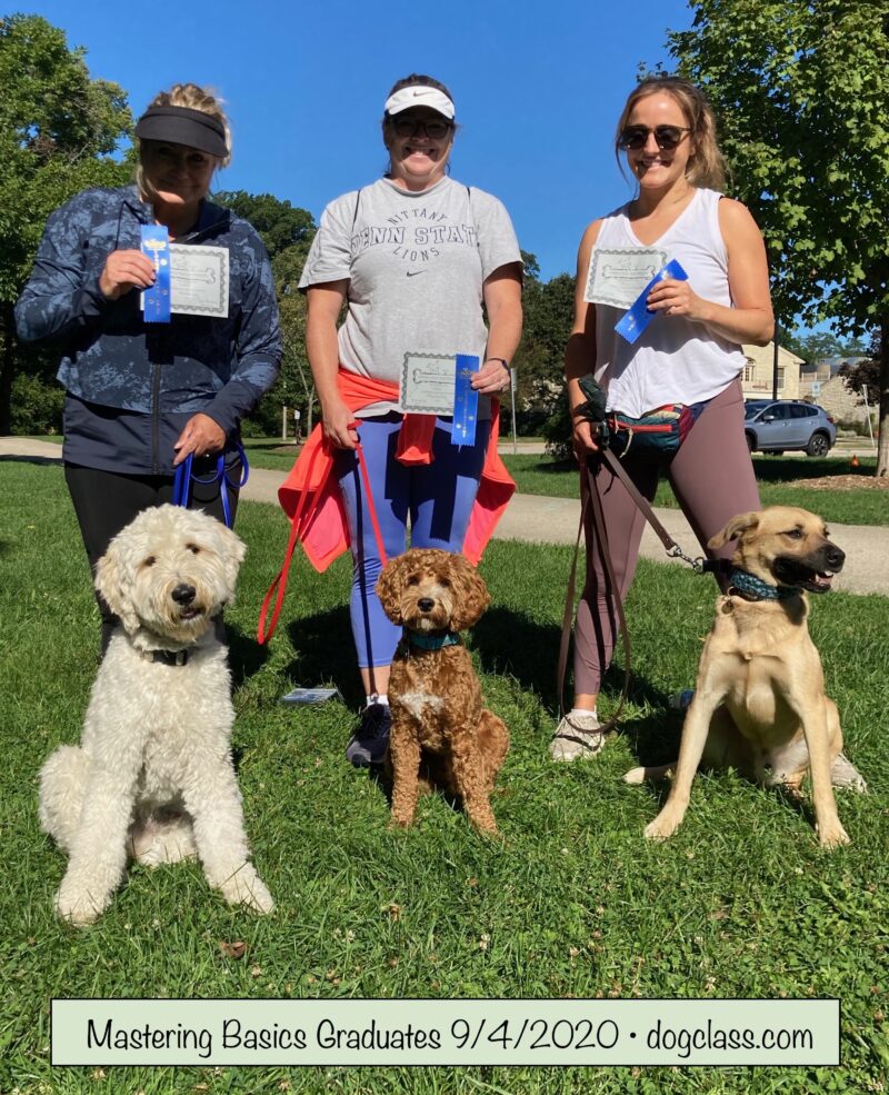 dog trainer milwaukee